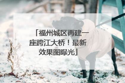 福州城区再建一座跨江大桥！最新效果图曝光